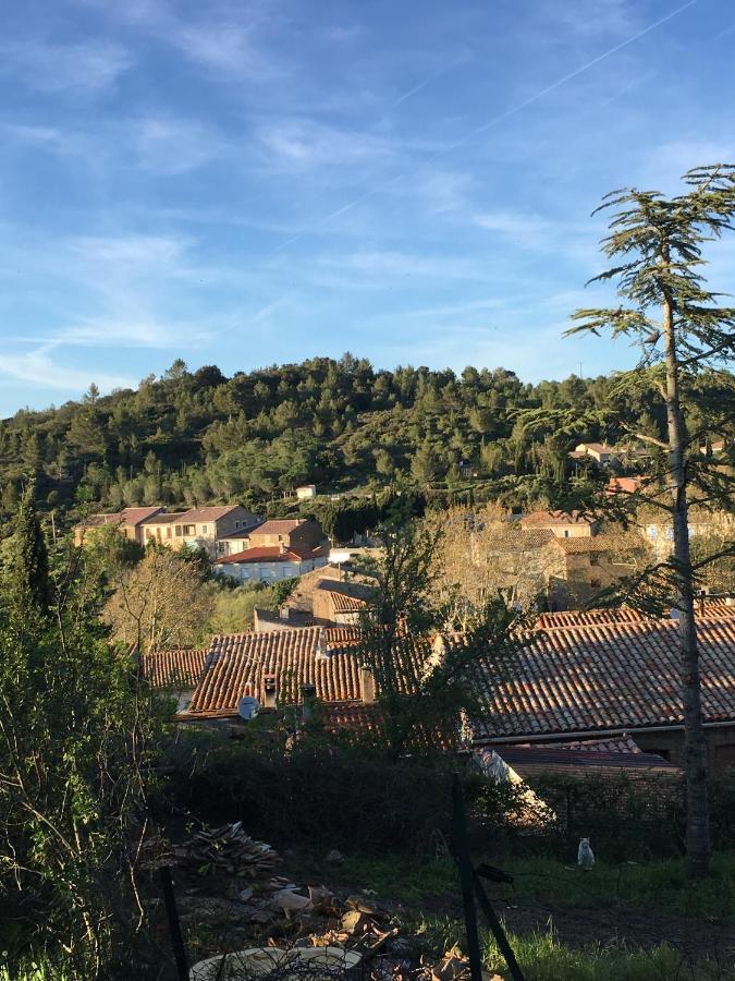 Chambres D Hotes Le Clos Des Vins D Anges Saint-Pierre-des-Champs ภายนอก รูปภาพ